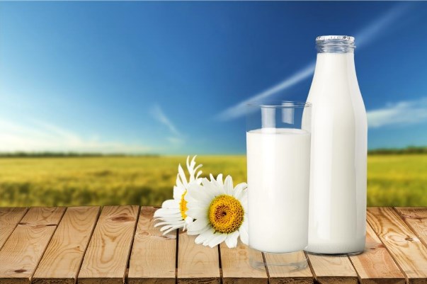 Gallon And Quart Gallon And Quart